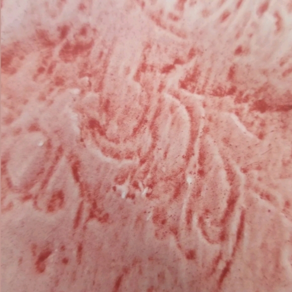 Rales Pottery Plates Bundle of 4